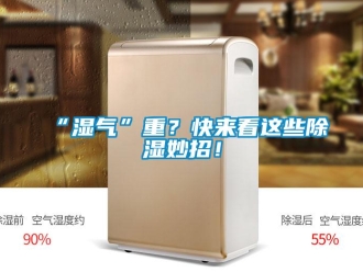 常見(jiàn)問(wèn)題“濕氣”重？快來(lái)看這些除濕妙招！