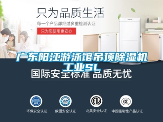 常見(jiàn)問(wèn)題廣東陽(yáng)江游泳館吊頂除濕機(jī)工業(yè)SL