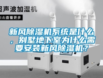 常見問題新風除濕機系統是什么，別墅地下室為什么需要安裝新風除濕機？