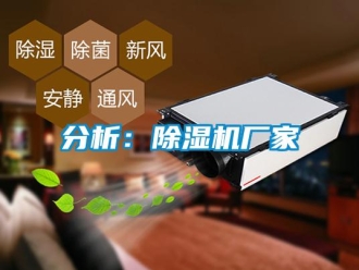 企業新聞分析：除濕機廠家