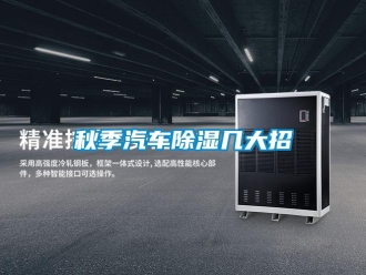 行業(yè)新聞秋季汽車(chē)除濕幾大招