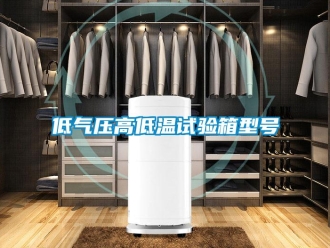 常見問題低氣壓高低溫試驗箱型號
