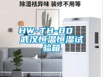 常見問題HW-TH-80  武漢恒溫恒濕試驗箱