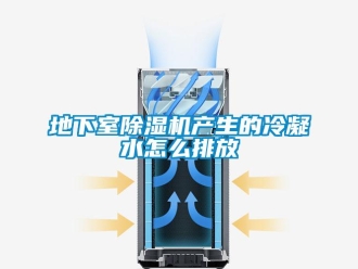 行業新聞地下室除濕機產生的冷凝水怎么排放