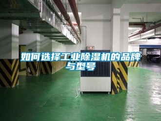 常見(jiàn)問(wèn)題如何選擇工業(yè)除濕機(jī)的品牌與型號(hào)