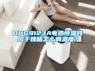 常見問題DHG9123A電熱恒溫鼓風干燥箱怎么調溫度？