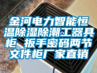 知識百科金河電力智能恒溫除濕除潮工器具柜 扳手密碼兩節文件柜廠家直銷