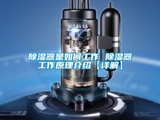 行業新聞除濕器是如何工作 除濕器工作原理介紹【詳解】