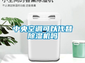 行業(yè)新聞中央空調(diào)可以代替除濕機(jī)嗎