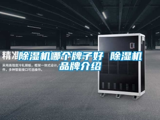 企業新聞除濕機哪個牌子好 除濕機品牌介紹