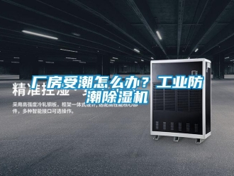 常見問題廠房受潮怎么辦？工業防潮除濕機