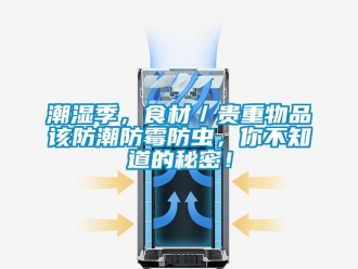 企業新聞潮濕季，食材／貴重物品該防潮防霉防蟲，你不知道的秘密！