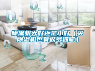 企業新聞除濕機大好還是小好（買除濕機也有很多貓膩）