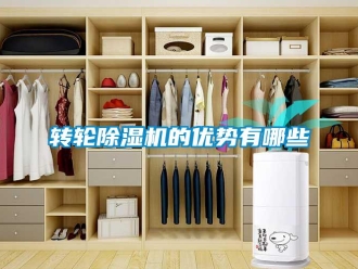 知識百科轉輪除濕機的優勢有哪些