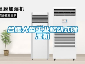 常見問題合肥大型工業(yè)移動式除濕機