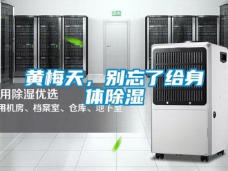 行業(yè)新聞黃梅天，別忘了給身體除濕