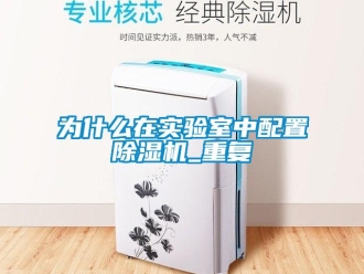 行業新聞為什么在實驗室中配置除濕機_重復