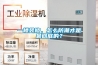 一樓裝修，怎么防潮才是最徹底的？