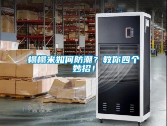 常見問題榻榻米如何防潮？教你四個妙招！