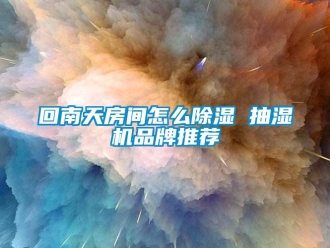 企業(yè)新聞回南天房間怎么除濕 抽濕機品牌推薦
