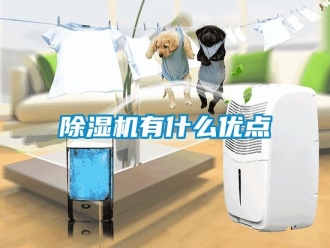 行業新聞除濕機有什么優點