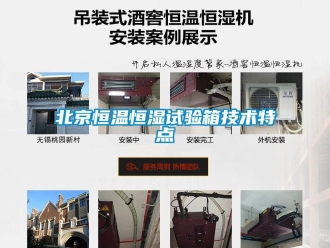 常見問題北京恒溫恒濕試驗箱技術特點
