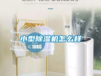 行業(yè)新聞小型除濕機(jī)怎么樣