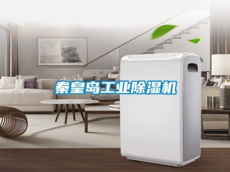 常見問題秦皇島工業除濕機