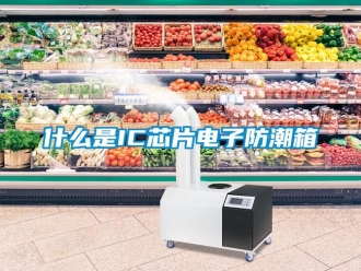 常見問題什么是IC芯片電子防潮箱