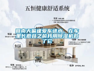 行業新聞回南天偏逢愛車進水，在車里長蘑菇之前我用除濕機救了它