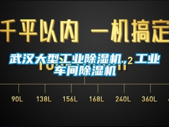 常見問題武漢大型工業除濕機，工業車間除濕機