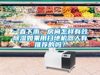 行業(yè)新聞一直下雨，房間怎樣有效除濕如果用掃地機(jī)器人有推薦的嗎？