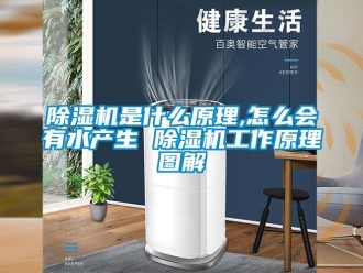 行業新聞除濕機是什么原理,怎么會有水產生 除濕機工作原理圖解