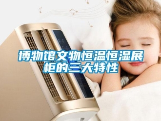 知識(shí)百科博物館文物恒溫恒濕展柜的三大特性