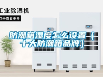 常見問題防潮箱濕度怎么設置（十大防潮箱品牌）