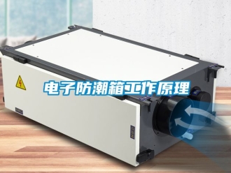 常見問題電子防潮箱工作原理