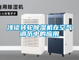 常見問題淺談轉(zhuǎn)輪除濕機在空氣調(diào)節(jié)中的應用