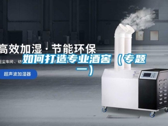 常見問(wèn)題如何打造專業(yè)酒窖（專題一）