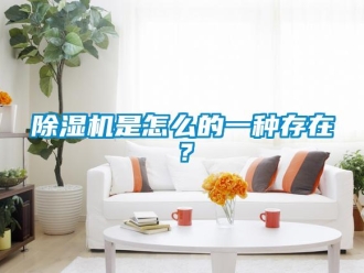 常見問題除濕機是怎么的一種存在？