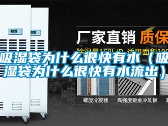 企業(yè)新聞吸濕袋為什么很快有水（吸濕袋為什么很快有水流出）