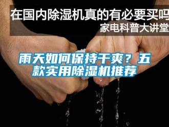 行業(yè)新聞雨天如何保持干爽？五款實用除濕機推薦