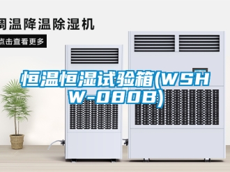知識百科恒溫恒濕試驗箱(WSHW-080B)