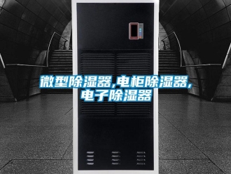 行業(yè)新聞微型除濕器,電柜除濕器,電子除濕器