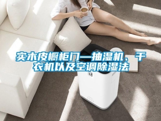 行業(yè)新聞實(shí)木皮櫥柜門—抽濕機(jī)、干衣機(jī)以及空調(diào)除濕法