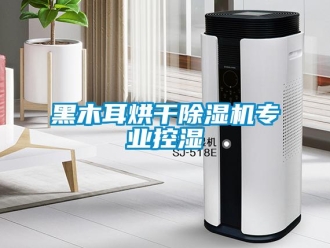 行業(yè)新聞黑木耳烘干除濕機(jī)專(zhuān)業(yè)控濕