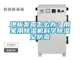 常見問題地板發霉怎么辦？用家用除濕機科學除濕又防霉