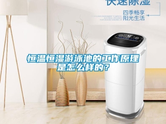 知識百科恒溫恒濕游泳池的工作原理是怎么樣的？