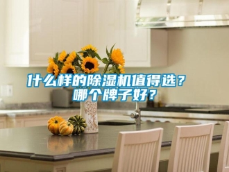 行業(yè)新聞什么樣的除濕機值得選？ 哪個牌子好？