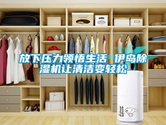 企業新聞放下壓力領悟生活 伊島除濕機讓清潔變輕松