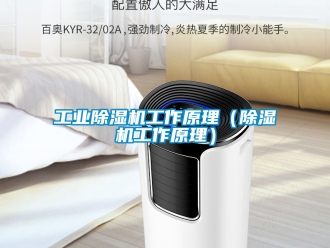 常見(jiàn)問(wèn)題工業(yè)除濕機(jī)工作原理（除濕機(jī)工作原理）